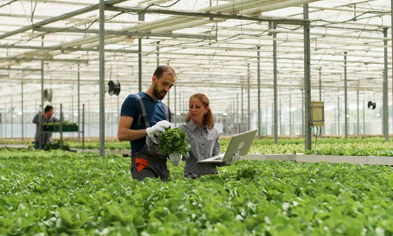 agriculture startups in india agriculture startups in india.webp