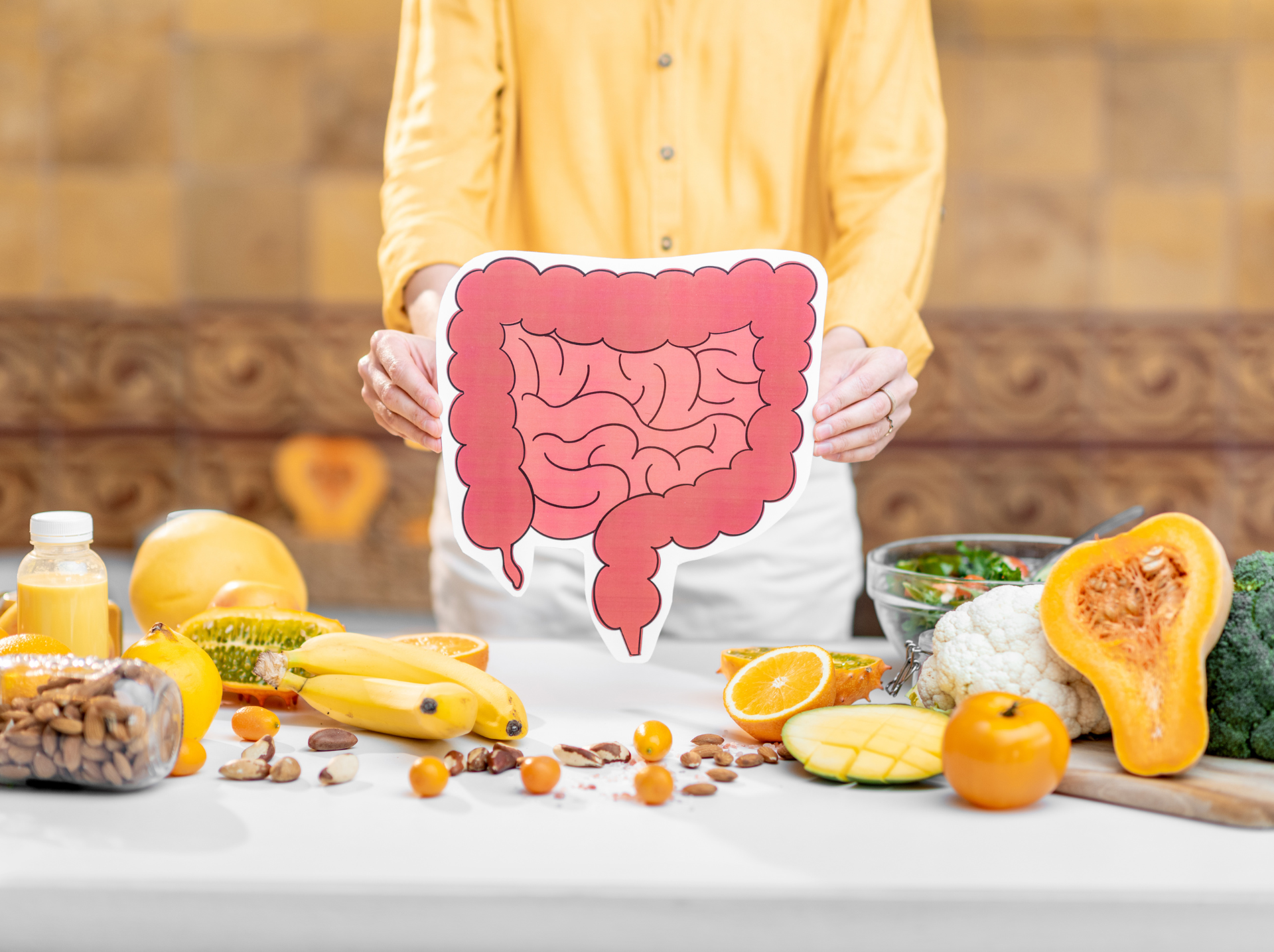 A person holding an intestinal diagram with fresh fruits and vegetables on a table, symbolizing gut health and nutrition.