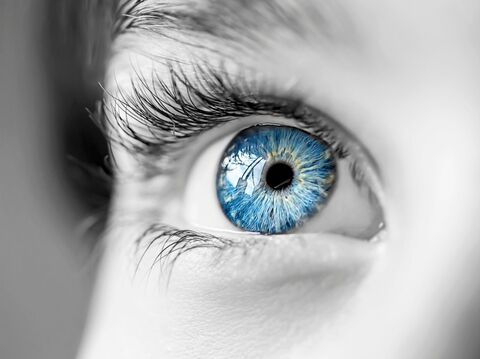 Close-up of a blue eye in black and white. The iris is light blue and the pupil is dark. The eye is wet and shiny, and the eyelashes are long and dark