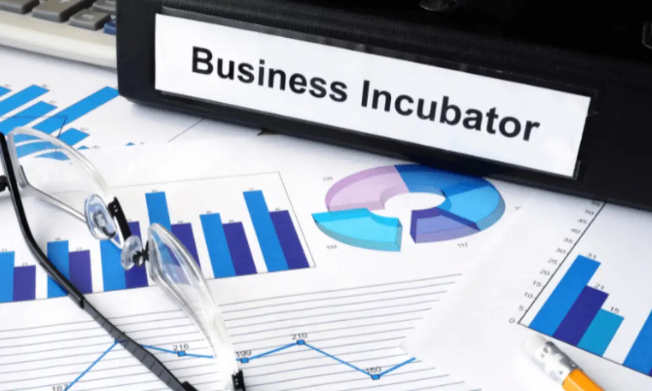Features of Business Incubators 8 Proven Ways They Speed Up Startup Success in 2025.webp
