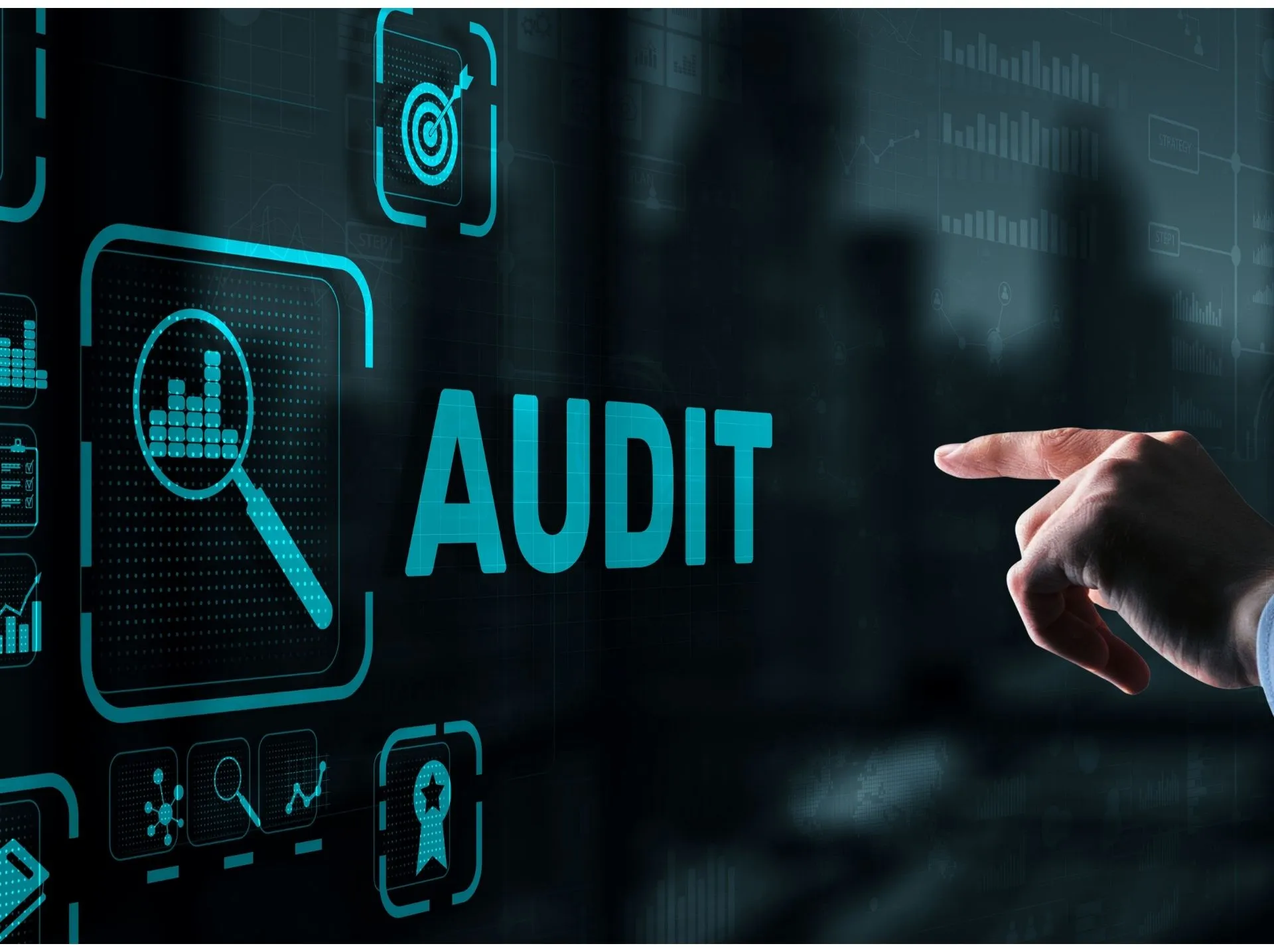Social Audits