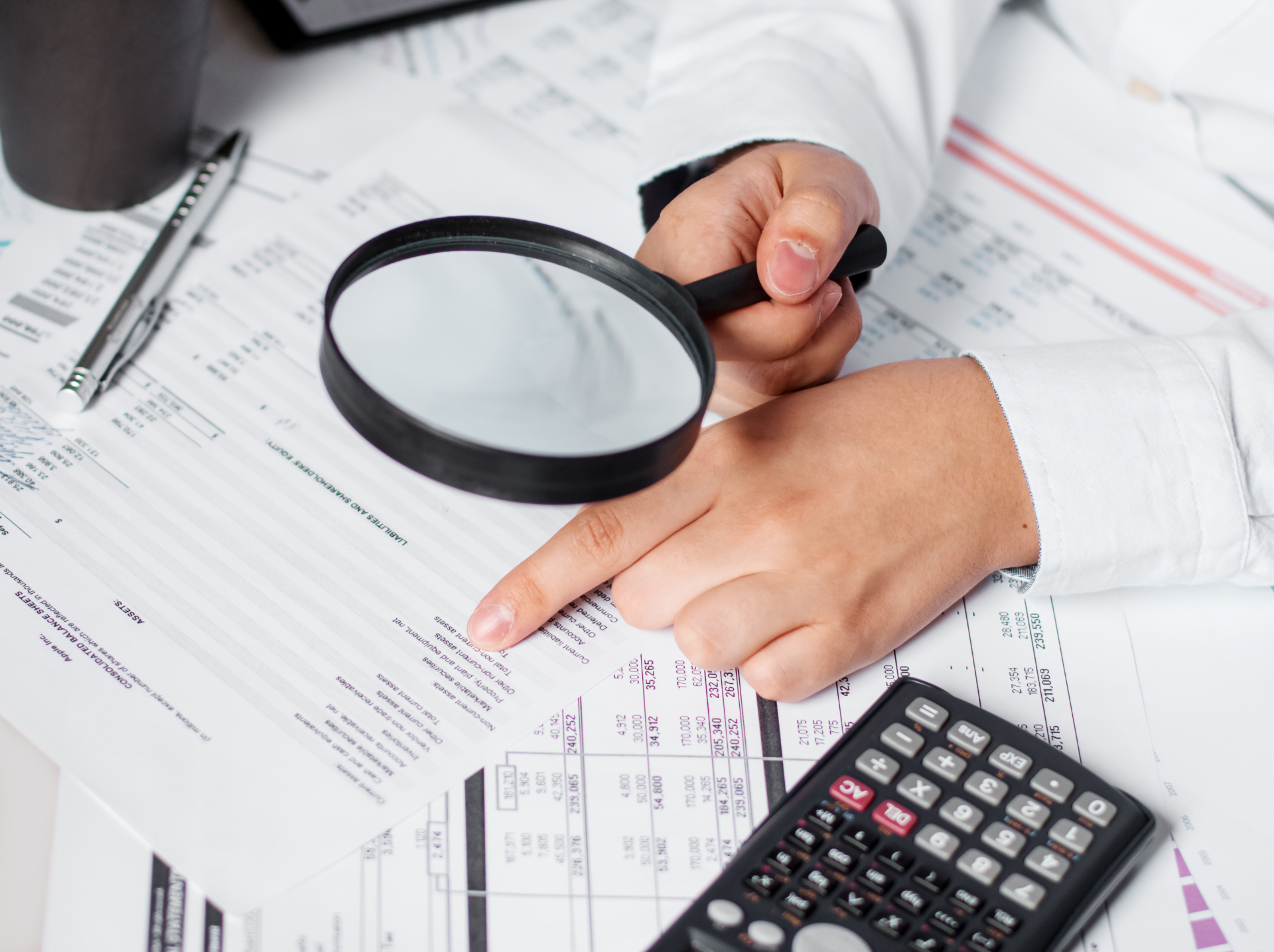 Revenue Audits