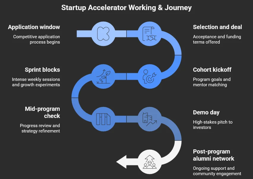 The end-to-end startup accelerator working process