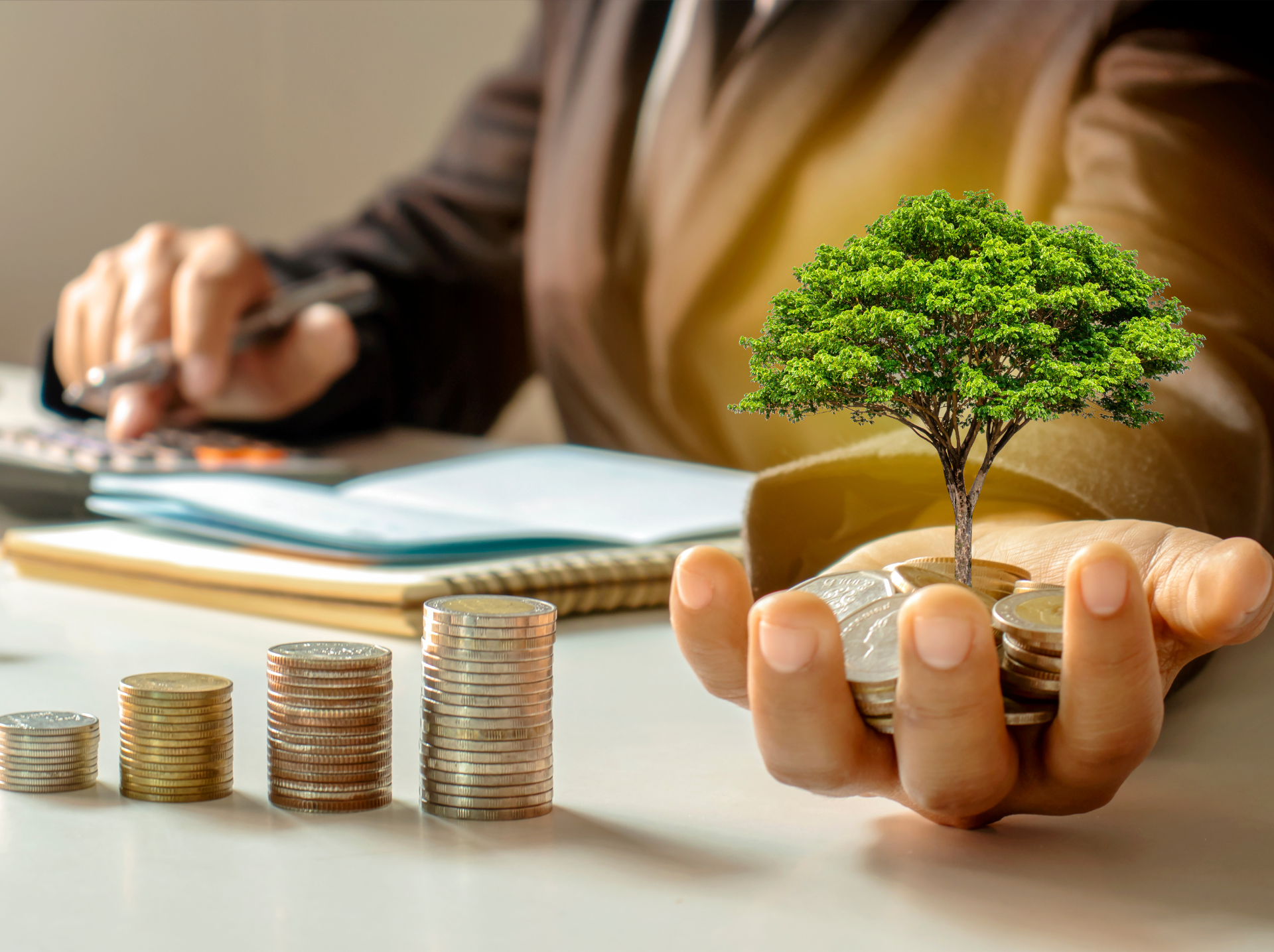 Seed Fund vs Venture Capital blog feature image.png