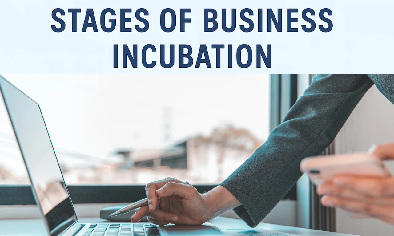 stages of business incubation 1.webp